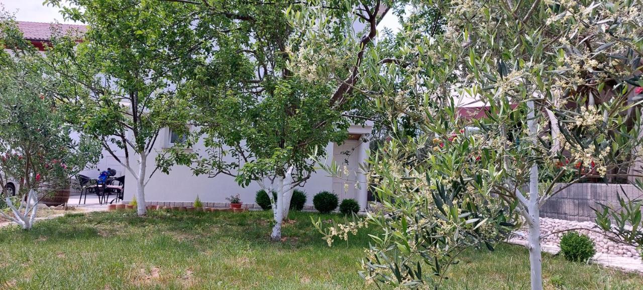 Apartman Sanja Kampor Εξωτερικό φωτογραφία