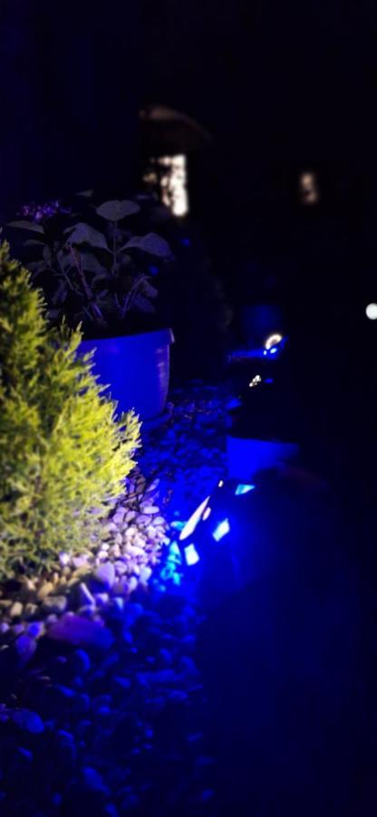 Apartman Sanja Kampor Εξωτερικό φωτογραφία